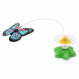 Cat Wire Butterfly Teaser Toy