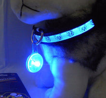 Dog or Cat  LED Flashing Collar Night Light Pendant