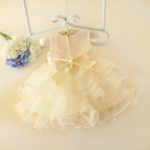 Beautiful Baby Girl Dressy Dress