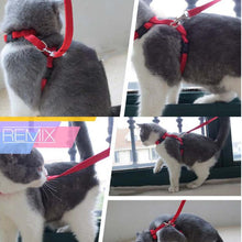 Cat Harness and Leash Free+Shipping