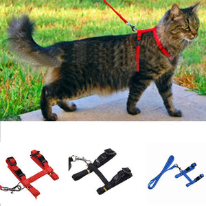 Cat Harness and Leash Free+Shipping
