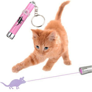 Cat Toy LED Laser Pointer light Pen Free+Shipping
