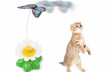 Cat Wire Butterfly Teaser Toy