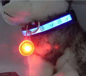 Dog or Cat  LED Flashing Collar Night Light Pendant
