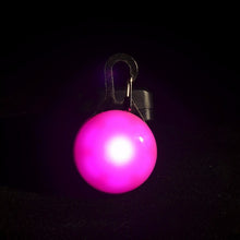 Dog or Cat  LED Flashing Collar Night Light Pendant
